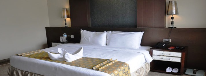 1542/Hotel Winway - Indore 09.jpg